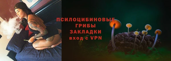 метадон Бородино