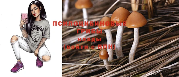 метадон Бородино